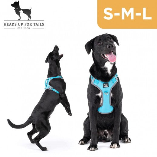 HUFT Active Pet Dog Harness - Light Blue