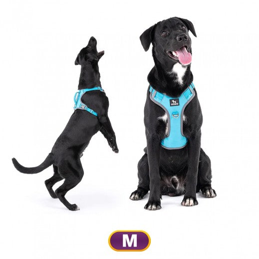 HUFT Active Pet Dog Harness - Light Blue