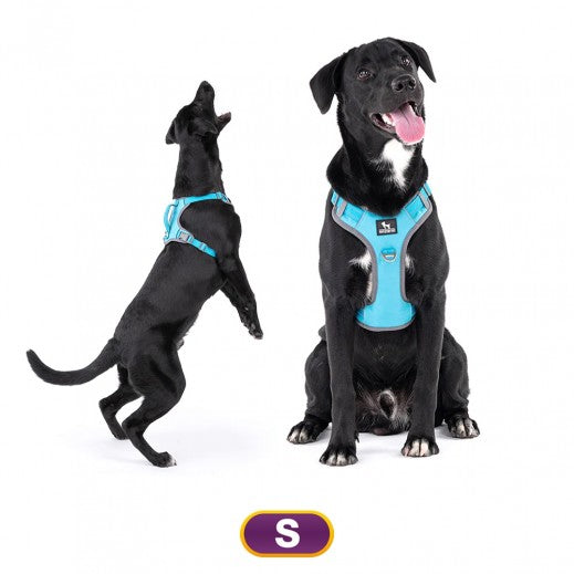 HUFT Active Pet Dog Harness - Light Blue
