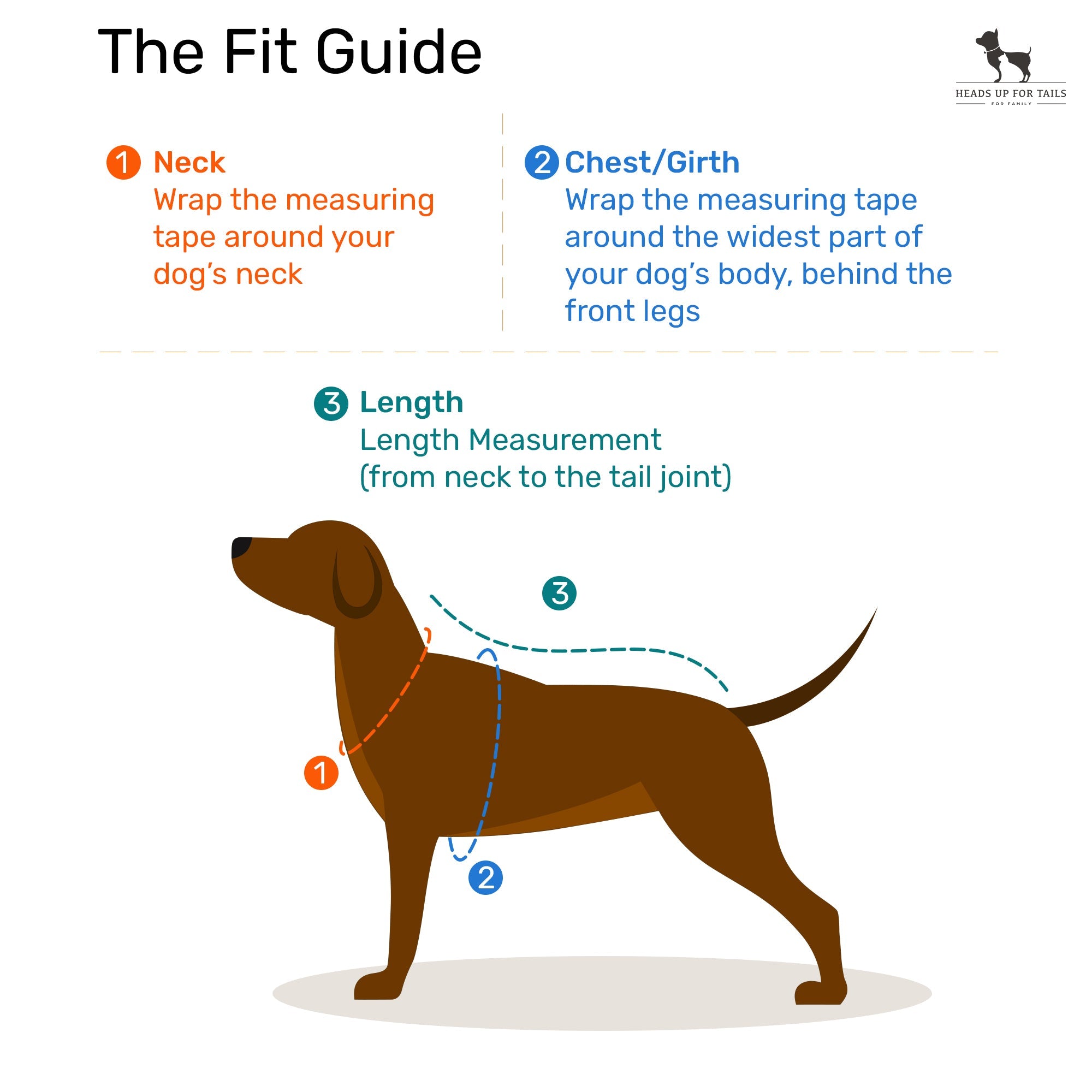 HUFT Essentials Nylon Dog H-Harness - Aqua Blue - Heads Up For Tails